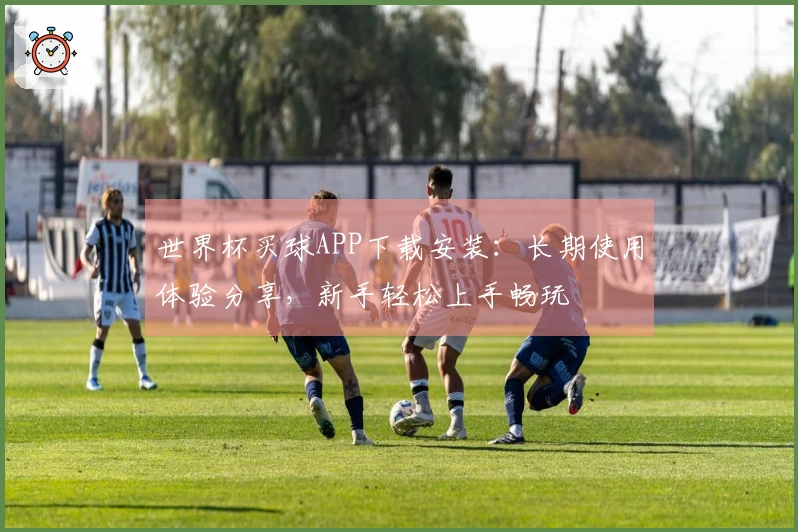 世界杯买球APP下载安装：长期使用体验分享，新手轻松上手畅玩