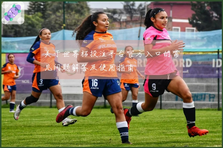 关于世界杯投注平台官方入口的常见问题解答及使用指南