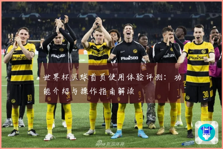 世界杯买球首页使用体验评测：功能介绍与操作指南解读