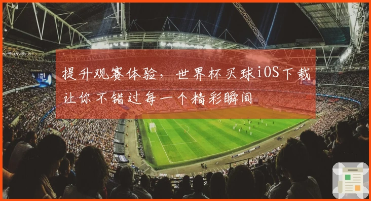 提升观赛体验，世界杯买球iOS下载让你不错过每一个精彩瞬间