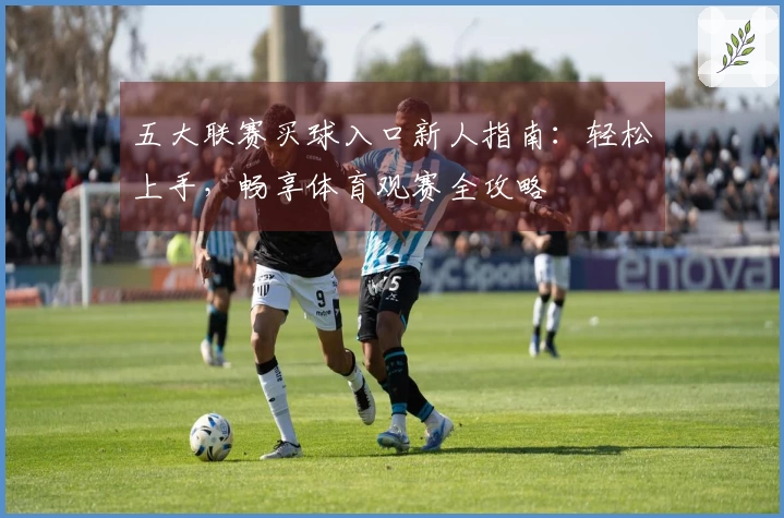 五大联赛买球入口新人指南：轻松上手，畅享体育观赛全攻略