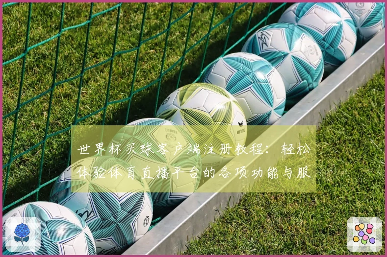 世界杯买球客户端注册教程：轻松体验体育直播平台的各项功能与服务