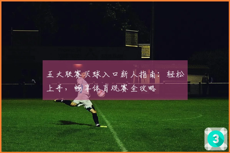 五大联赛买球入口新人指南：轻松上手，畅享体育观赛全攻略