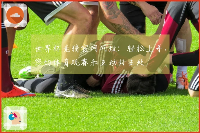 世界杯竞猜官网网址：轻松上手，您的体育观赛和互动好去处
