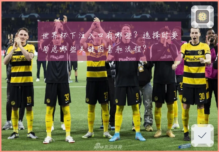 世界杯下注入口有哪些？选择时要考虑哪些关键因素和流程？