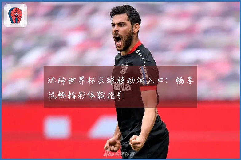 玩转世界杯买球移动端入口：畅享流畅精彩体验指引