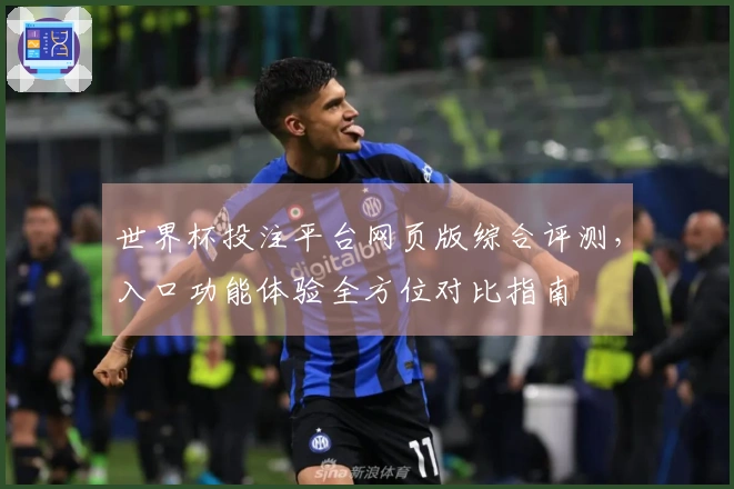 世界杯投注平台网页版综合评测，入口功能体验全方位对比指南
