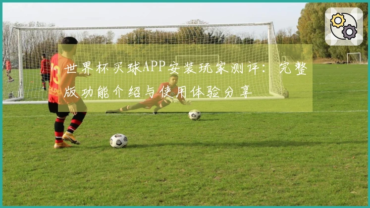 世界杯买球APP安装玩家测评：完整版功能介绍与使用体验分享
