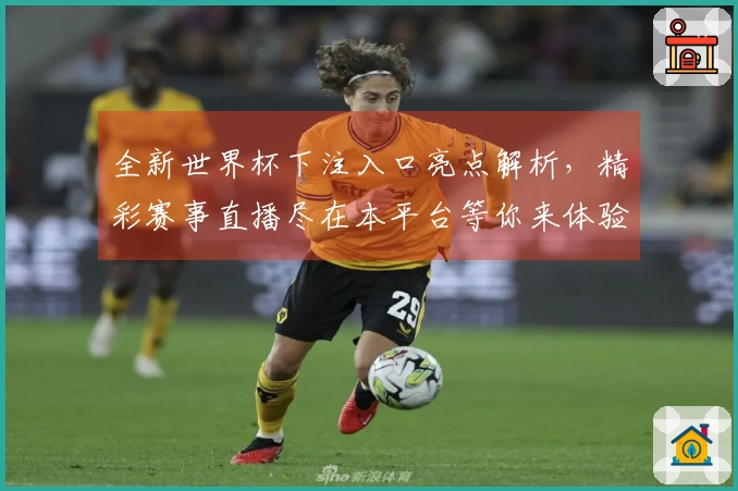 全新世界杯下注入口亮点解析，精彩赛事直播尽在本平台等你来体验
