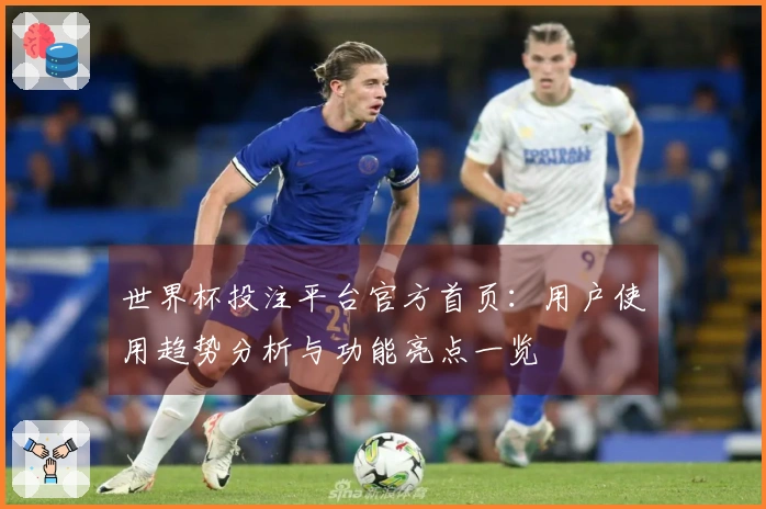 世界杯投注平台官方首页:用户使用趋势分析与功能亮点一览