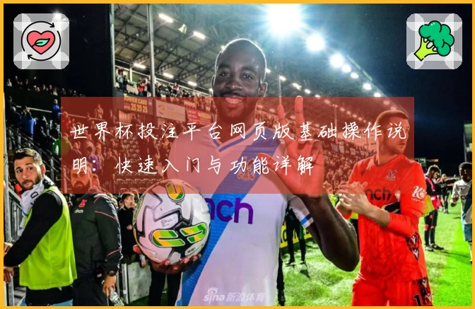 世界杯投注平台网页版基础操作说明：快速入门与功能详解