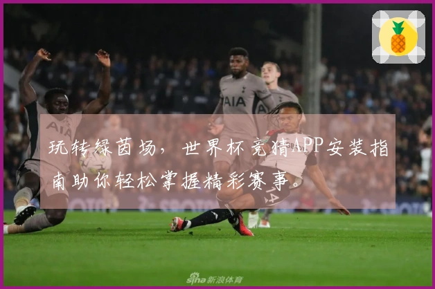 玩转绿茵场，世界杯竞猜APP安装指南助你轻松掌握精彩赛事。